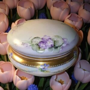 Vintage Limoges Porcelain Beautifully Hand Painted  Bureau Box  9x5